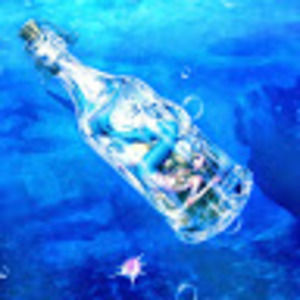 Meet your Posher, Autumn